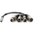 Kabel Atomos XLR (input/output) Balanced XLR breakout cable Przód