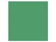 Tło kartonowe Colorama kartonowe 1,35x11m - Apple Green Tył