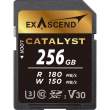 Karta pamięci Exascend SDXC Catalyst UHS-1 V30 256GB Przód