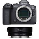 Aparat cyfrowy Canon  EOS R6 + adapter Mount EF-EOS R 