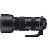 Sigma 60-600 mm f/4.5-6.3 DG OS HSM S / Nikon