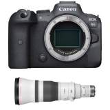 Canon EOS R6 body + RF 600 mm f/4 