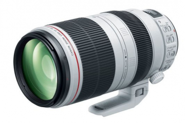Canon 100-400 mm f/4.5-5.6 L EF IS II USM 