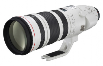 Canon 200-400 mm f/4.0 L EF IS USM z telekonwerterem 1.4x