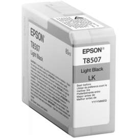 Epson T850700 Singlepack Light Black