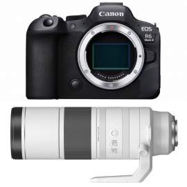 Canon EOS R6 MARK II + RF 200-800 mm f/6.3-9 IS USM
