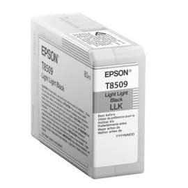 Epson T850900 Singlepack Light Light Black