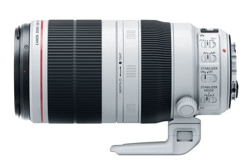 Obiektyw Canon 100-400 mm f/4.5-5.6 L EF IS II USM  + osłona LensCoat snow