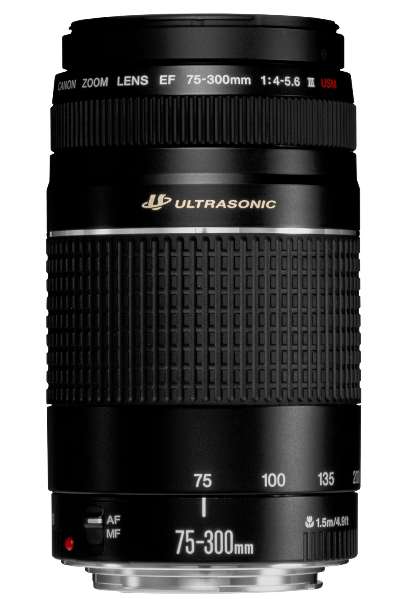 CANON 75-300 MM F/4.0-F/5.6 EF III USM - Cyfrowe.pl