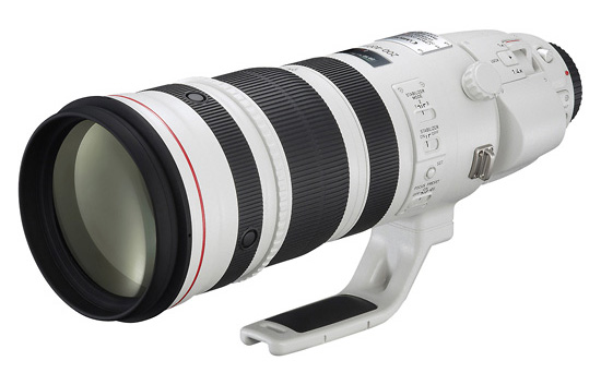 Obiektyw Canon 200-400 mm f/4.0 L EF IS USM z telekonwerterem 1.4x