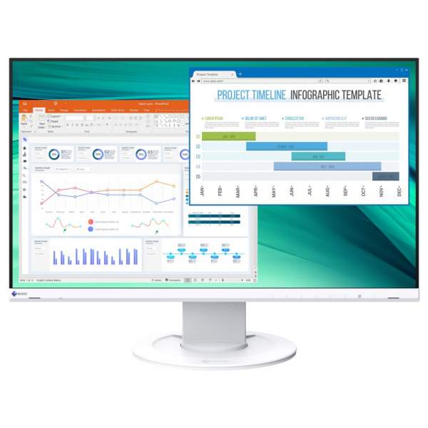 Monitor EIZO FlexScan EV2460 biały
