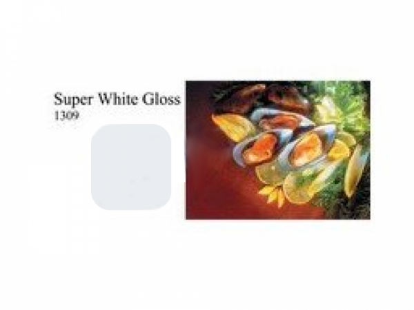 Tło plastikowe Fomei Colorgloss Super White 1x1.3m tło plastikowe