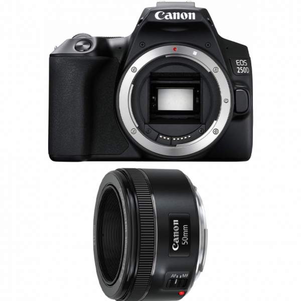Lustrzanka Canon EOS 250D + 50 mm f/1.8