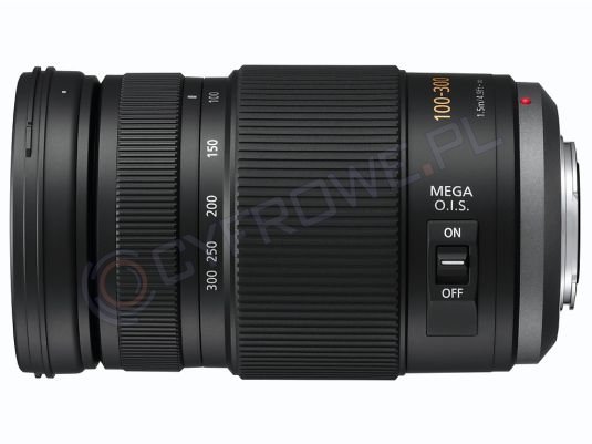 LUMIX パナソニック G VARIO 100-300 MEGA O.I.S. パナソニック LUMIX G VARIO 100-300mm/F4.0-5.6/MEGA O.I.S. H