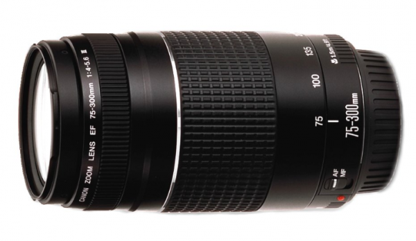 Obiektyw Canon 75-300 mm f/4.0-5.6 EF III